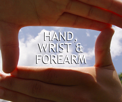 Hand, Wrist and Forearm Surgery Procedures Link Image
